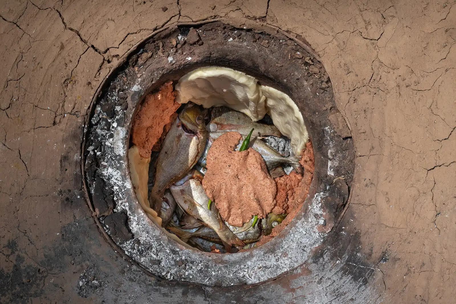 سمك التنور