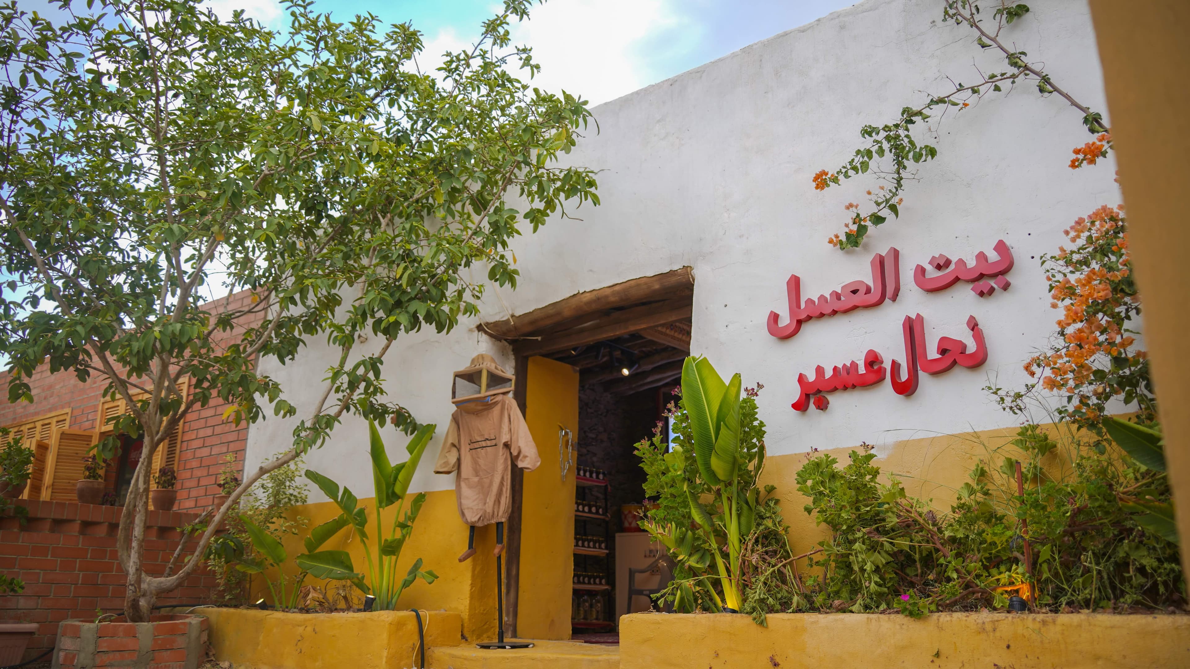 تجربة العسل