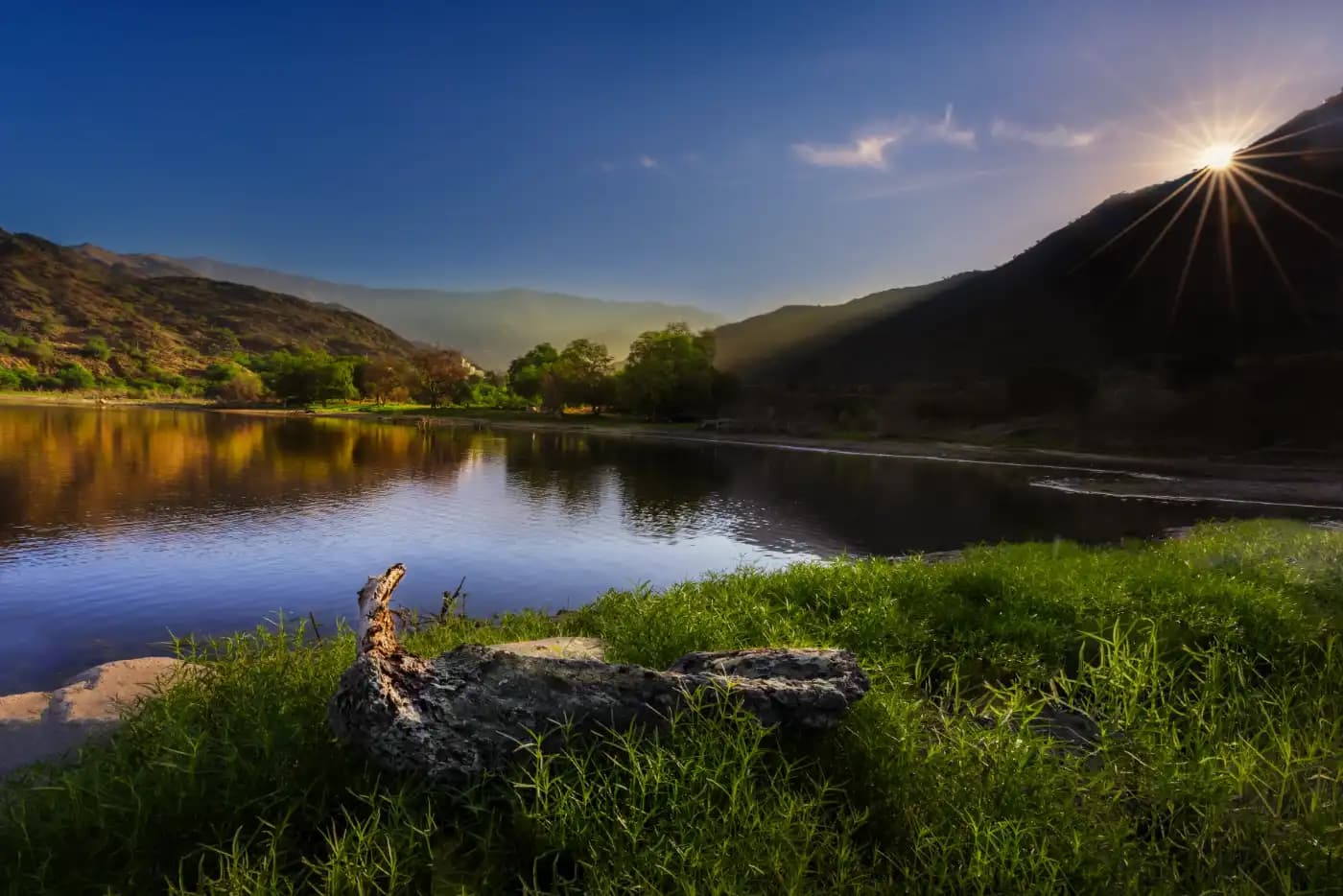 تنوع طبيعي - image 5