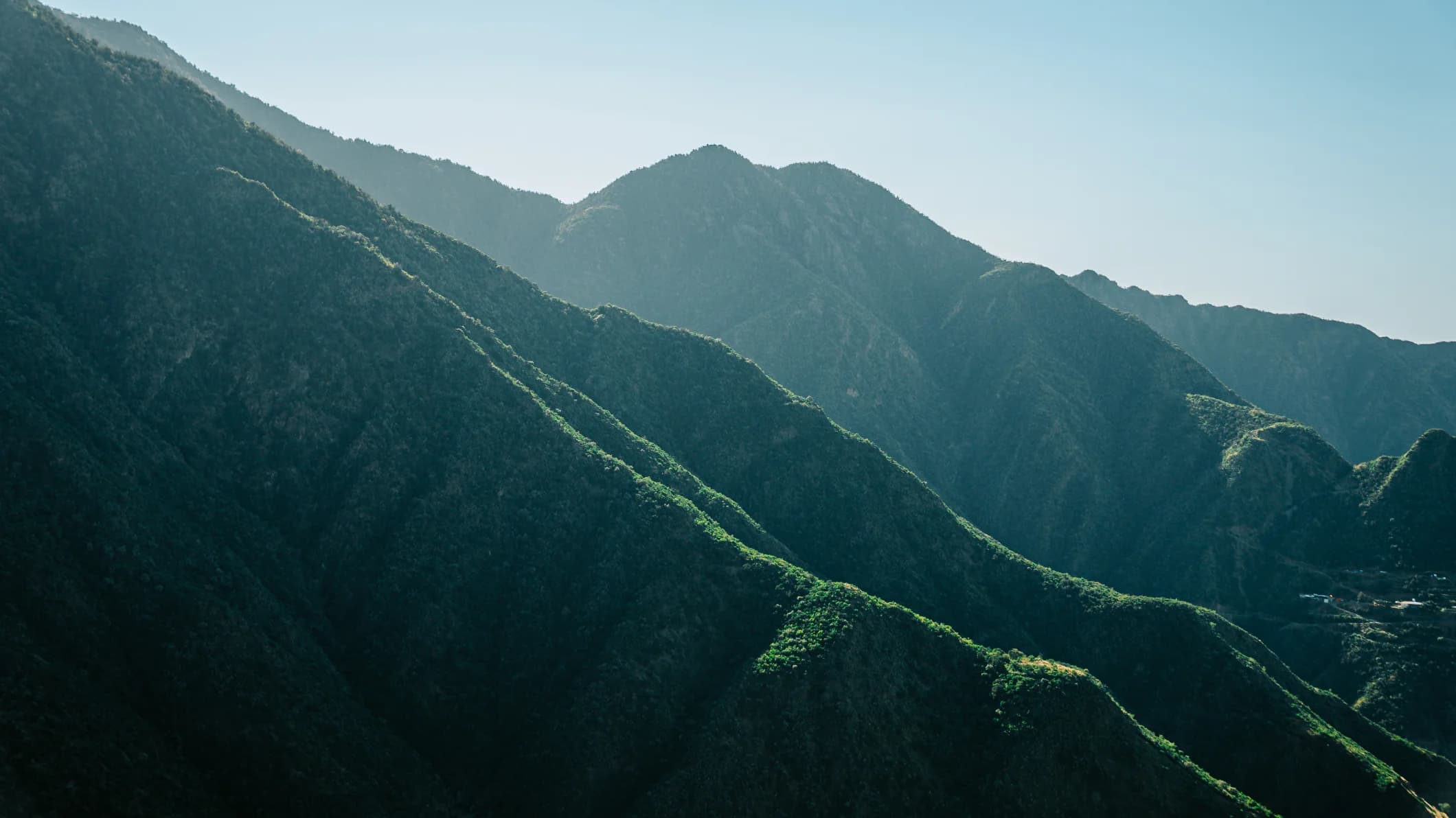 تنوع طبيعي - image 1