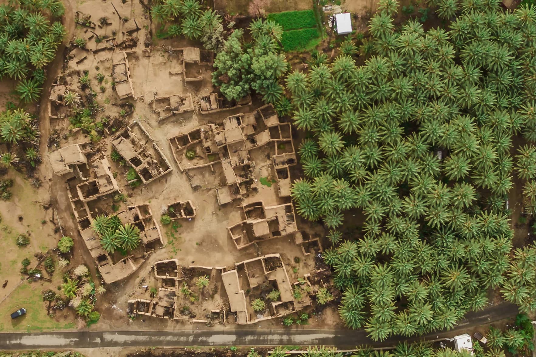 تنوع ثقافي - image 2