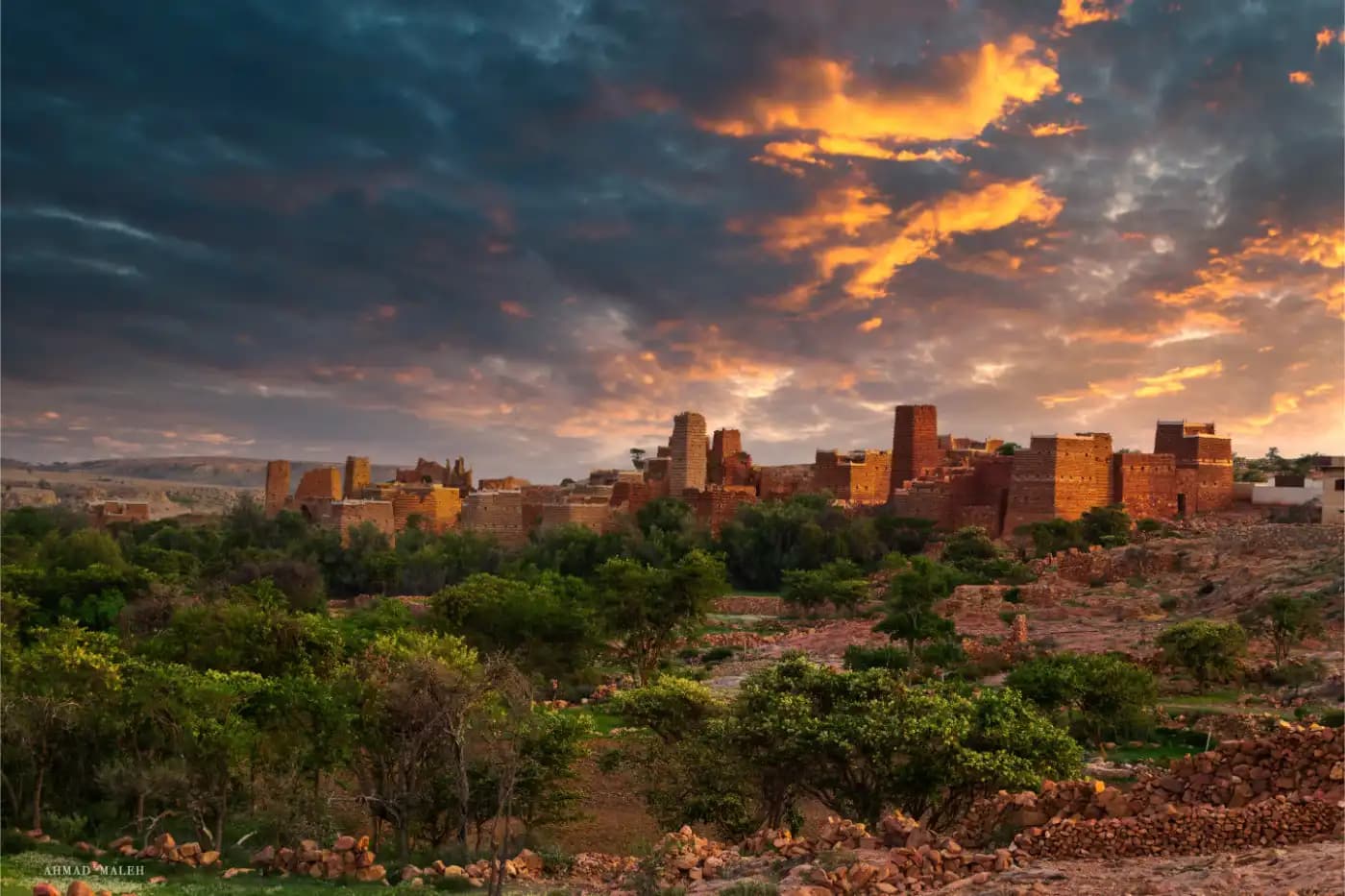 تنوع ثقافي - image 1