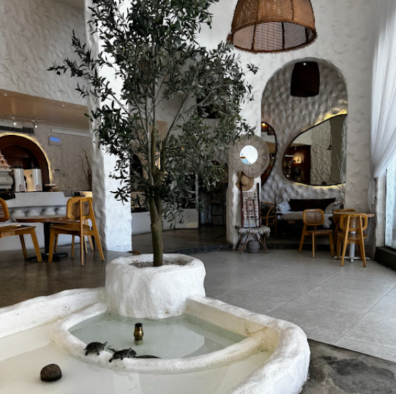 /assets/new-restaurants-fnb/48.png494