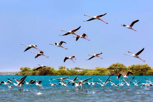 Aseer Waterfront - اكتشف عسير